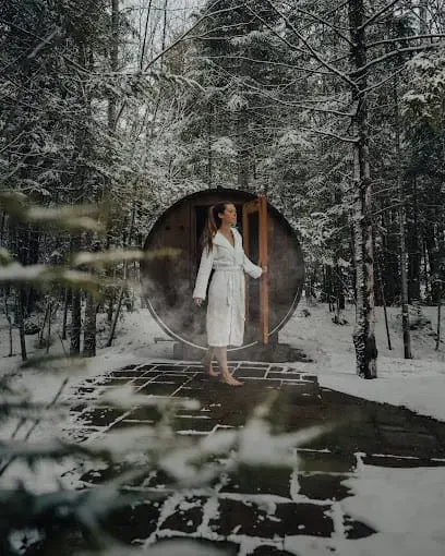 Séjour hivernal dans un chalet Foressence